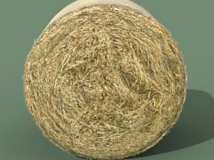 hay round bale Modèle 3D