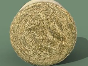 hay round bale 3D Model