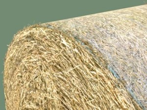 hay round bale Modèle 3D