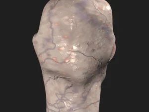 괴물 머리 3D 모델