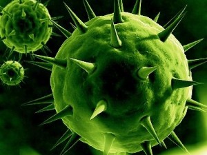 spherical virus cell 3D Model
