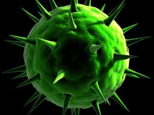 spherical virus cell Modelo 3D