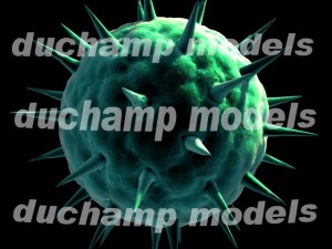 spherical virus cell Modelo 3D
