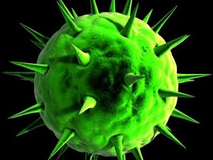spherical virus cell Modelo 3D