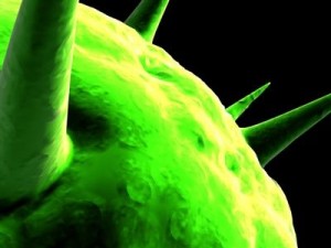 spherical virus cell Modelo 3D