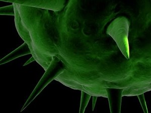 spherical virus cell Modelo 3D