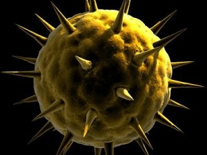 spherical virus cell Modelo 3D