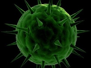 spherical virus cell Modelo 3D
