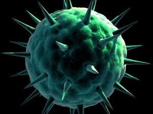spherical virus cell Modelo 3D