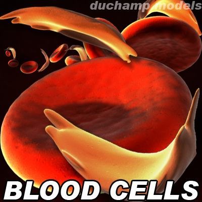 blood cells sickle anemia also Modèle 3D .c4d .max .obj .3ds .fbx .stl .blend 