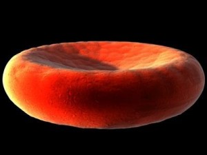 blood cells sickle anemia also Modèle 3D