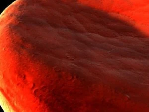 blood cells sickle anemia also 3D Model