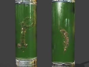 experiment tube 3D 模型