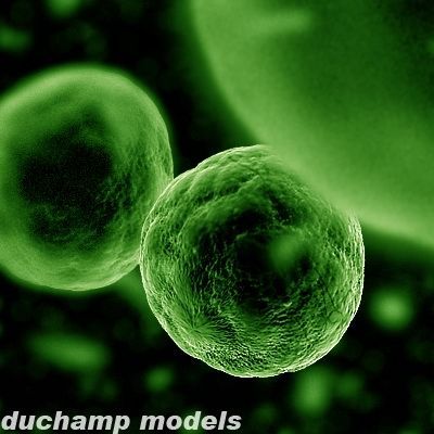 ovule spherical cell 3D Model .c4d .max .obj .3ds .fbx .stl .blend 