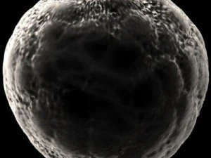 ovule spherical cell 3D Model