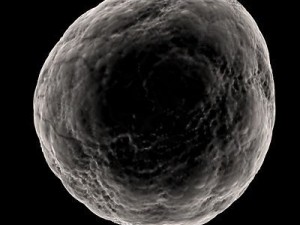 ovule spherical cell 3D Model