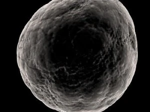 ovule spherical cell 3D Model