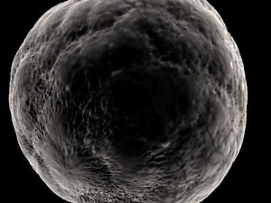 ovule spherical cell 3D Model