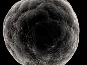 ovule spherical cell 3D Model