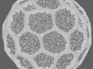 pollen grain 3D Model