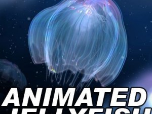 animated jellyfish 3D Model