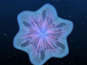 animated jellyfish Modelo 3D