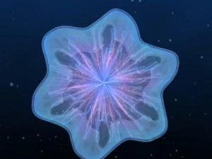 animated jellyfish 3D Model