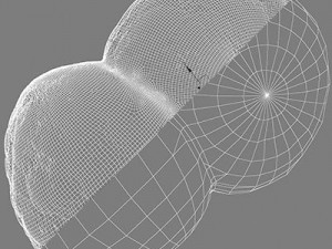 dividing cell   ovule 3D Modell