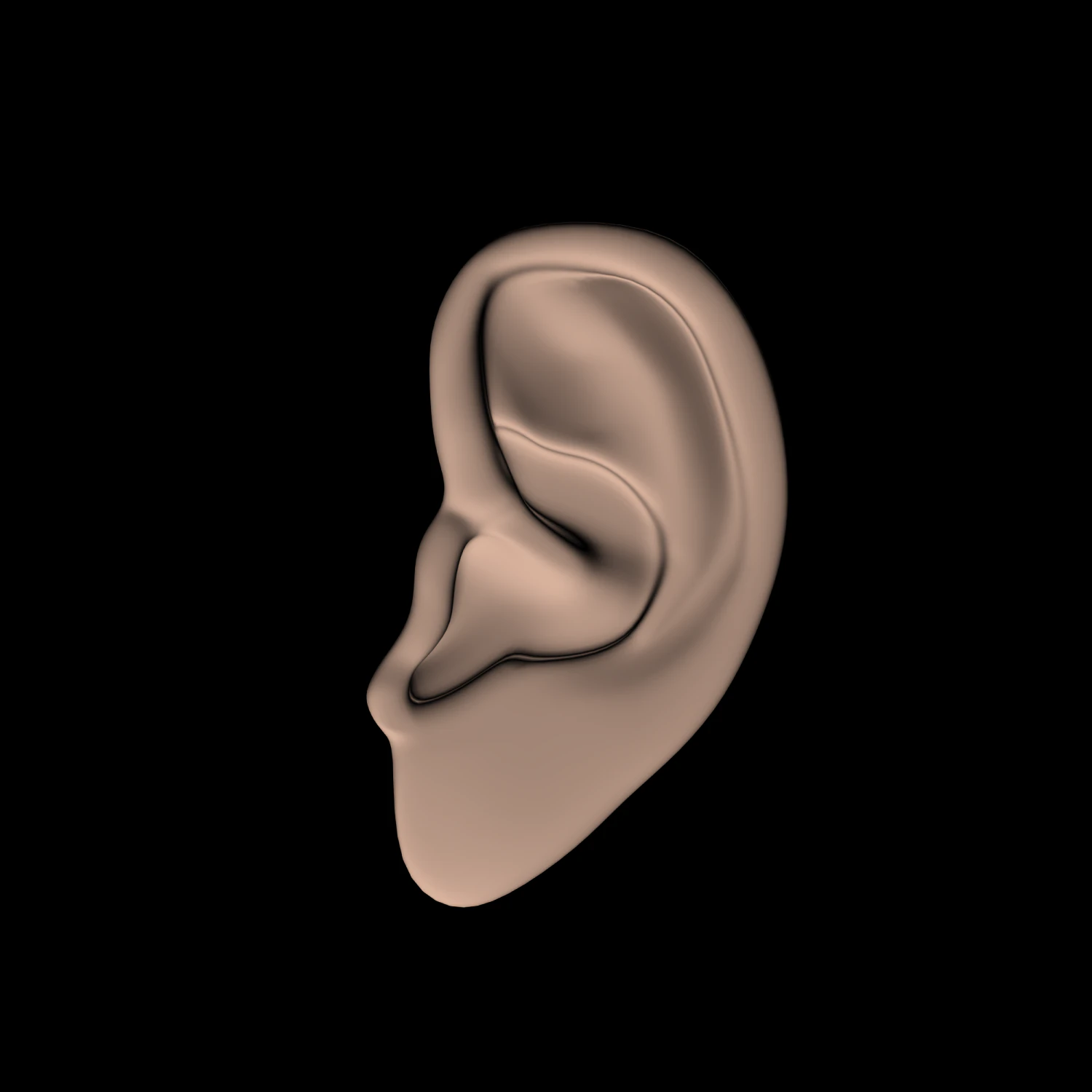 low poly ear 3D Model .c4d .max .obj .3ds .fbx .stl .blend 
