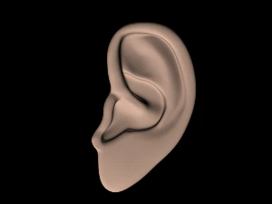 low poly ear 3D Model