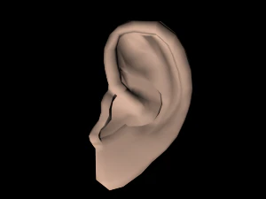 low poly ear 3D Model