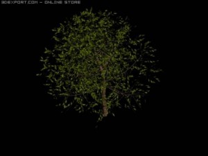 tree 3D Model