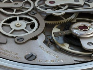 watch mechanisms coll 6 3D Model