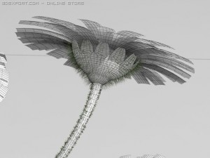 daisy 3D Модель