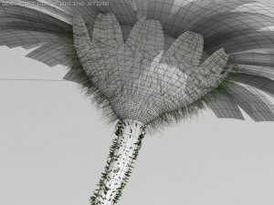 daisy 3D Модель