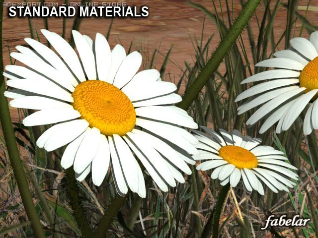 daisy std mat 3D Model .c4d .max .obj .3ds .fbx .stl .blend