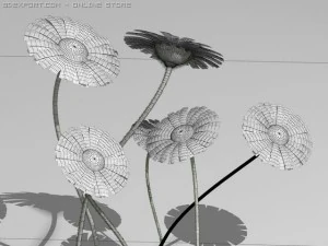 daisy std mat 3D Model