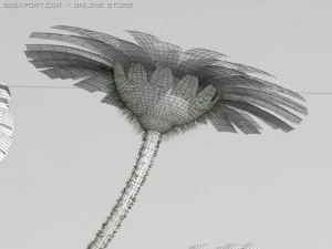 daisy std mat 3D Model