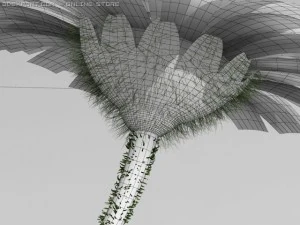 daisy std mat 3D Model
