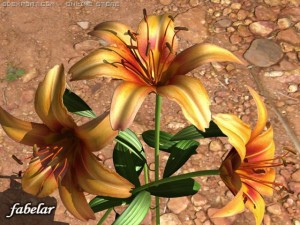 lilium davidii 3Dモデル