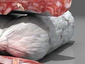 salame 2 Modèle 3D