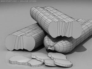 salame 2 Modèle 3D