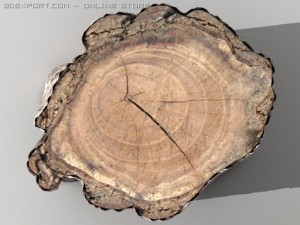 logs hd 3D 모델