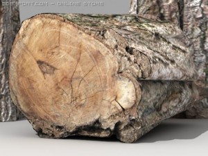 logs hd 3D 모델