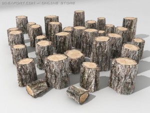 logs hd 3D 모델