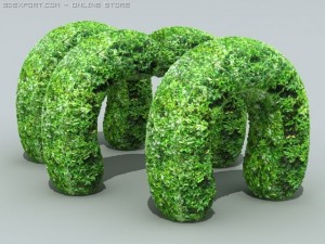 hedge 3D Model