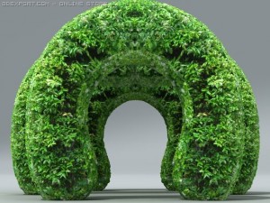 hedge 3D Model