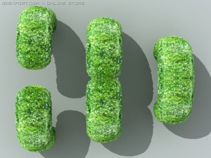 hedge 3D Model