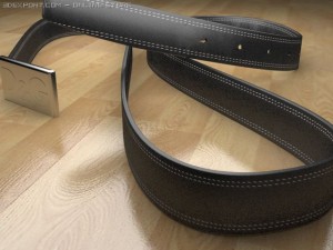 dg belt 3D मॉडल