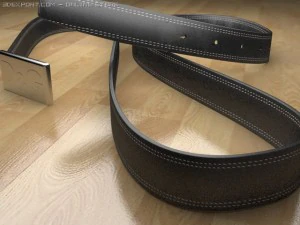 dg belt 3D Model